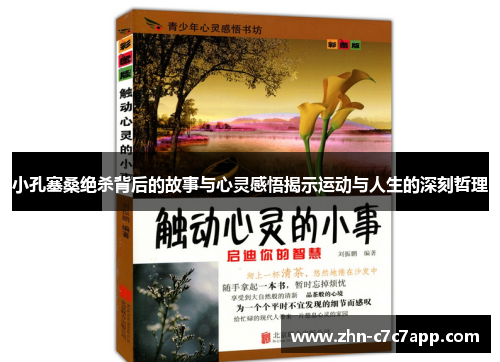 小孔塞桑绝杀背后的故事与心灵感悟揭示运动与人生的深刻哲理