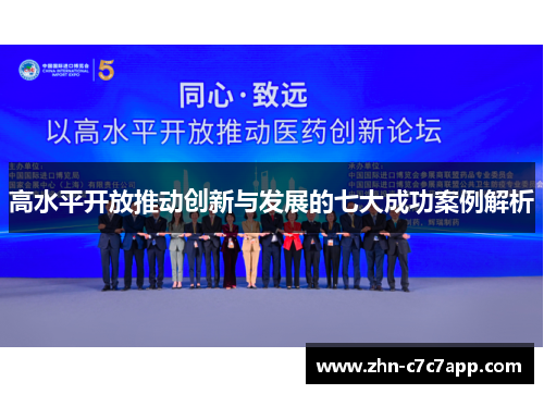 高水平开放推动创新与发展的七大成功案例解析